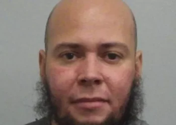 Escaped convict Liam Wall arrested and back in custody following police hunt