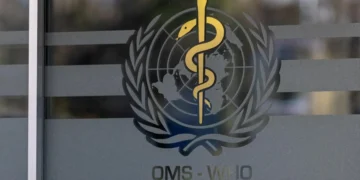 WHO backs use of GLP-1 therapies for obesity, warns access will remain limited