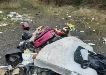 Removal man who dumped and torched random items on lane has van crushed