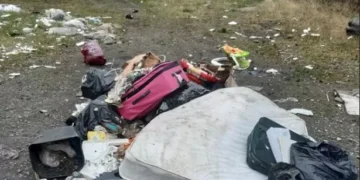 Removal man who dumped and torched random items on lane has van crushed