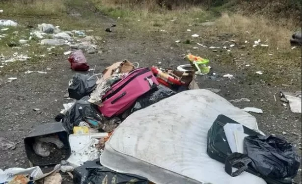 Removal man who dumped and torched random items on lane has van crushed