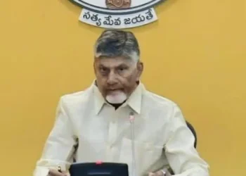 Andhra Pradesh mulling setting up of a metal cluster in the north