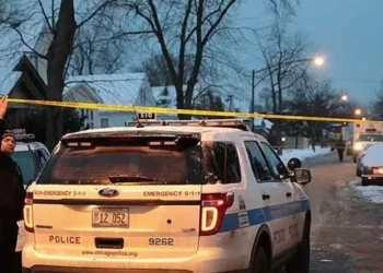 Chicago: Concealed Carry Permit Holder Shoots Alleged Carjacker