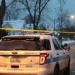 Chicago: Concealed Carry Permit Holder Shoots Alleged Carjacker