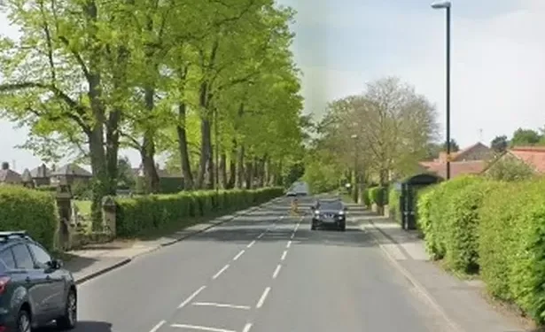 Teenage girl killed in minibus crash as Mercedes driver arrested