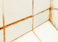 I asked experts the best way to get rid of shower mould – they all said the same thing
