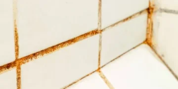 I asked experts the best way to get rid of shower mould – they all said the same thing