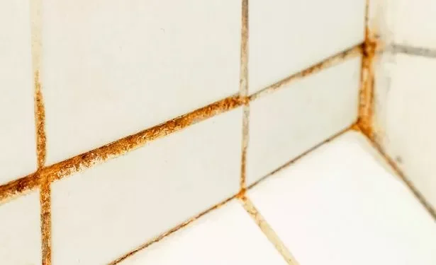 I asked experts the best way to get rid of shower mould – they all said the same thing