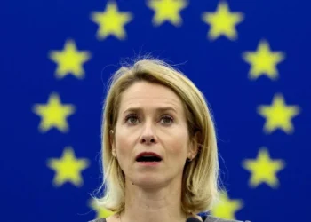 EU to proceed with security and defence partnership with India: Kallas