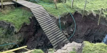 Sinkhole shuts Wales Coast Path stretch as wooden walkway collapses