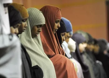 Citizen Journos Expose Potential Somali Fraud in Ohio, Maine, Pennsylvania, Washington State