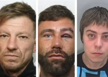 Men stormed into victim’s house with weapons then savagely beat him