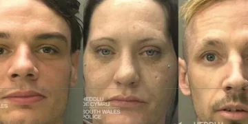 Trio armed with metal poles and walking sticks launched attack on man in his own garden