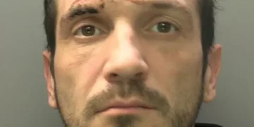 Serial burglar stole Audi A4 from couple’s home then crashed and set it on fire