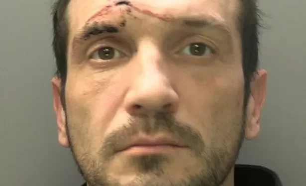 Serial burglar stole Audi A4 from couple’s home then crashed and set it on fire