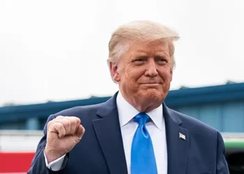 Exclusive — Alex Bruesewitz: Our Reach ‘Is Second to None’ as Team Trump Accounts See 5.3 Billion Views in 2025