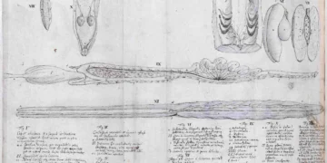 The National Archives and RIBA to partner