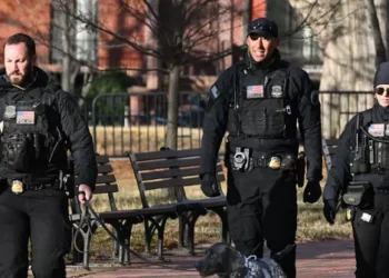 U.S. Secret Service Returns Elderly Woman’s Stolen $950,000 in Life Savings