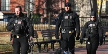 U.S. Secret Service Returns Elderly Woman’s Stolen $950,000 in Life Savings