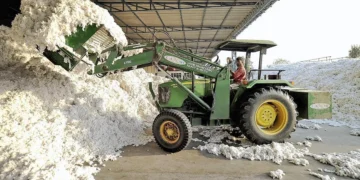 Bangladesh–US zero-duty fears overstated; Indian cotton farmers safe: AEPC