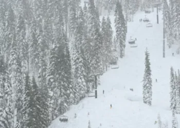 Eight Skiers Buried Alive in Lake Tahoe Avalanche: ‘Deadliest in U.S. History’