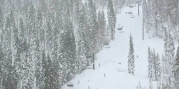 Eight Skiers Buried Alive in Lake Tahoe Avalanche: ‘Deadliest in U.S. History’
